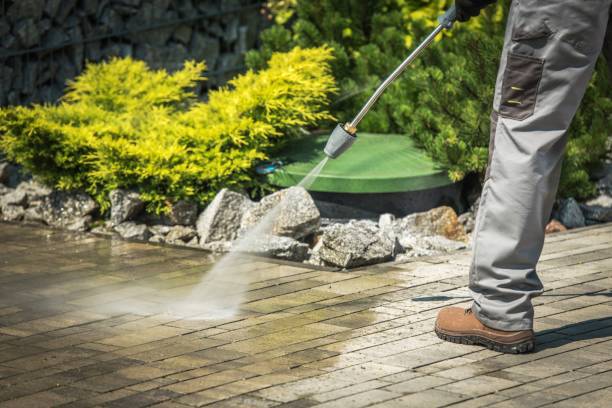 Boat and Dock Cleaning in Dixon, KY